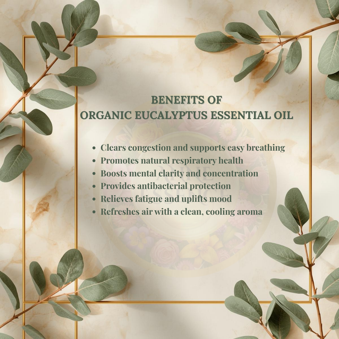 Elegant infographic showing benefits of Anne Essence Organic Eucalyptus Essential Oil on marble and gold botanical background with eucalyptus leaves