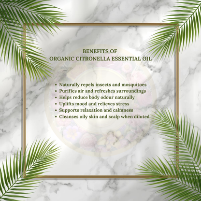 List of benefits for organic citronella essential oil on a white marble background with palm and citronella leaves, elegant natural wellness design by Anne Essence