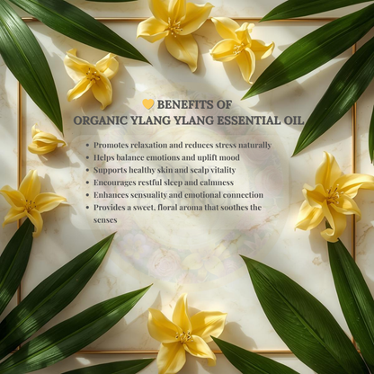 List of benefits for organic ylang ylang essential oil with elegant yellow blossoms and lush green leaves arranged on a white marble background with a golden frame.